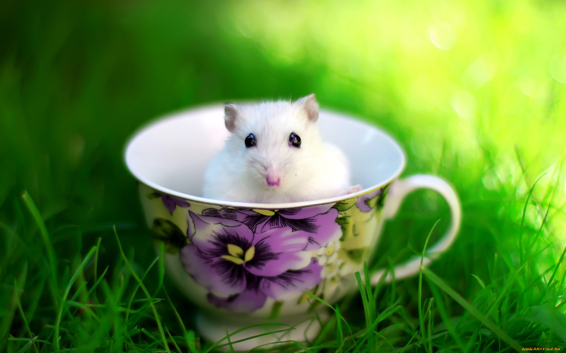 , ,  , , , , 